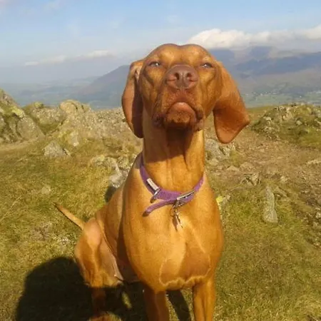 Babbling Brook Guest house Keswick (Cumbria)