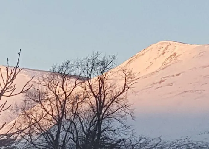 بيت ضيافة Babbling Brook