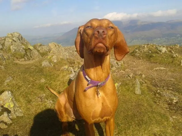 Babbling Brook Gasthof Keswick (Cumbria)